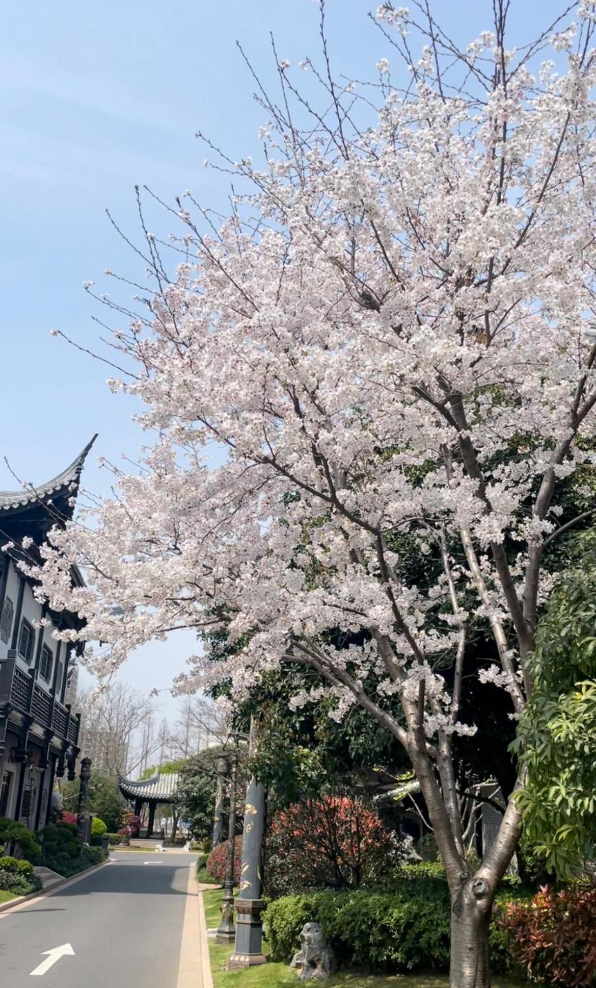 上海皇廷花园酒店 外观 照片